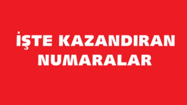 22 Kasım Süper Loto Sonuçları