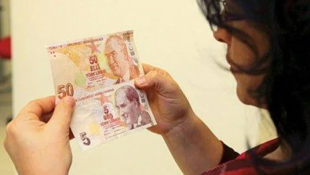 5 TL ile 50 TL'nin renkleri değiştirilecek