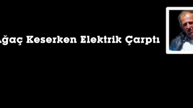 Ağaç Keserken Elektrik Çarptı
