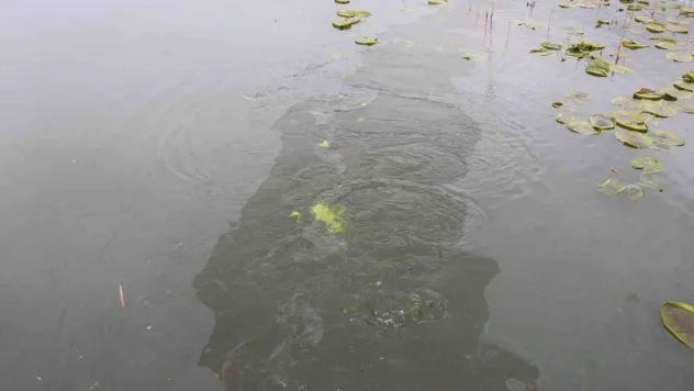 Akaryakıt sızıntısını ekiplere haber vermişti: 'Bu yapılan uygulama yeterli değil, diğer kurumların da müdahale etmesi gerekiyor'
