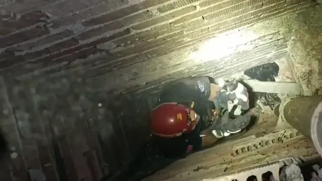 Apartman boşluğunda mahsur kalan yavru kediyi itfaiye kurtardı