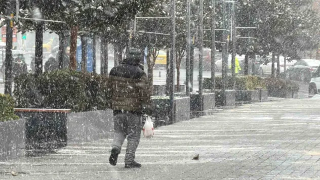 Arnavuköy'de kar yağışı