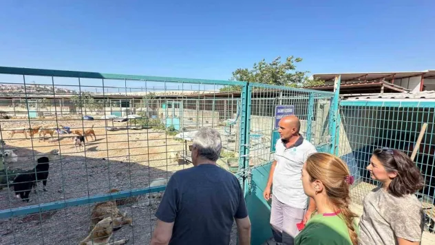 Bandırma Belediyesi'nden sokak hayvanları için yeni yaşam alanı çalışması