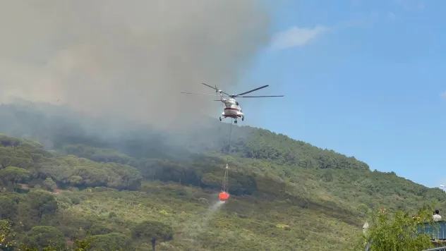 Başıbüyük Ormanı'nda çıkan yangına itfaiye ve helikopter müdahale ediyor