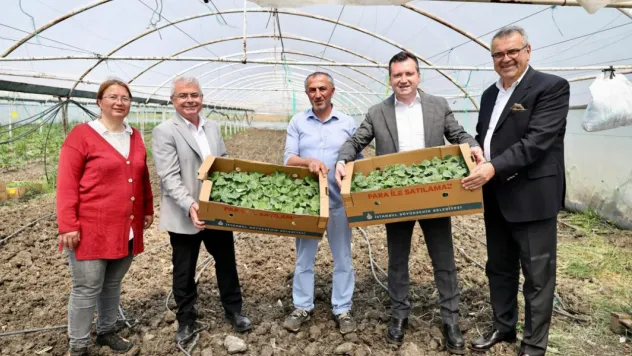 Başkan Balcıoğlu, Gazitepe Mahallesi'nde tarım alanlarını ziyaret etti