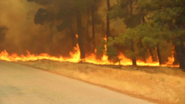 Bayramiç'te 3 köy tahliye edildi