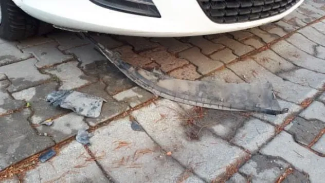 Beylikdüzü'nde sokak köpekleri park halindeki arabayı parçaladı