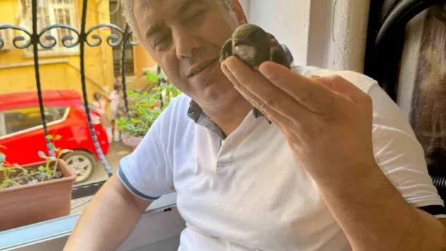 Beyoğlu'nda 6 yıl önce tedavisini yaptığı ebabil kuşu yeniden penceresine kondu
