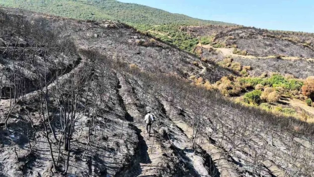 Bilecik'te orman yangını sonrası yürek burkan manzara havadan görüntülendi
