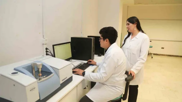 BTÜ'denyerli odun türlerini mobilya ve yapı sektörüne kazandıracak proje