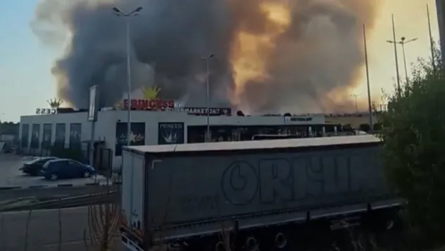 Bulgaristan'daki orman yangını Edirne sınırına dayandı