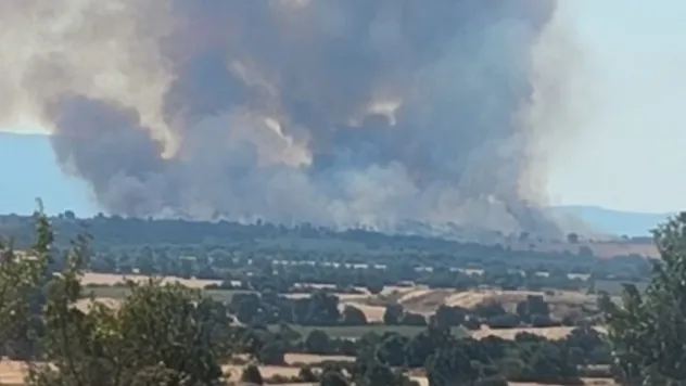 Bulgaristan'daki orman yangını Türkiye sınırına dayandı