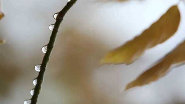 Bursa'da 2 günlük yağışlar ekim ayını kurtardı