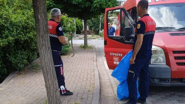 Çan'da itfaiye ekipleri yol kenarında yakaladıkları yılanı doğal ortamına bıraktı