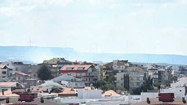 Çanakkale'de orman yangını: 2 okul tahliye edildi