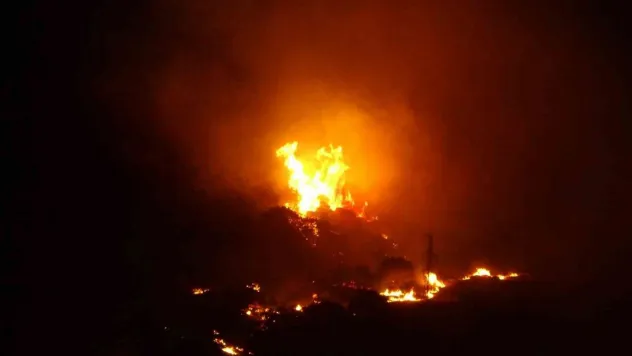 Çanakkale'deki orman yangını devam ediyor: 4 köy tahliye edildi