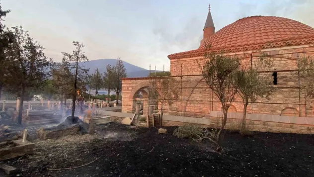 Çanakkale'deki orman yangınında tarihi mezarlar zarar gördü