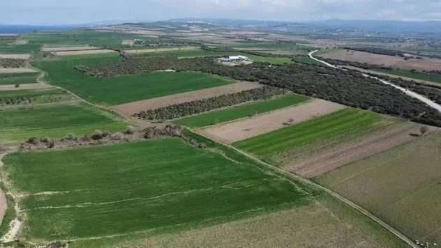 Çanakkale Savaşları'ndan kalma yeni bir şehitlik alanı tespit edildi