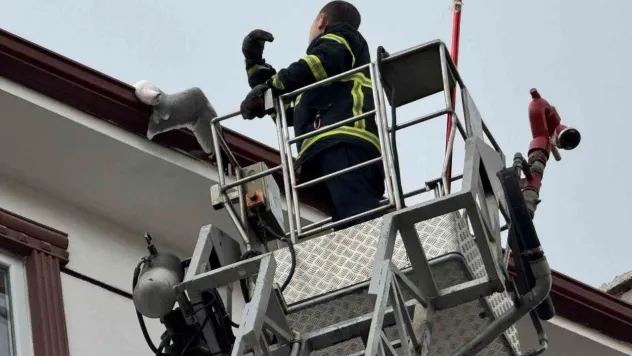 Çatıda sıkışan martıyı itfaiye kurtardı