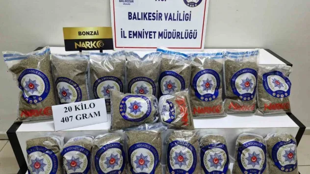 Çay dediler, bonzai çıktı