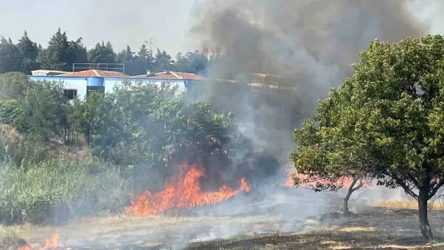Çorlu'da 600 dönüm anız ve ağaçlık alan cayır cayır yandı