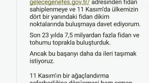 Cumhurbaşkanı Erdoğan'dan 11 Kasım Milli Ağaçlandırma Günü mesajı