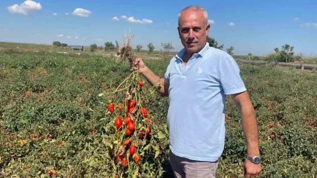 Dedesi seçimde muhtar oldu adına 'Seçim' konuldu