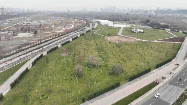 Doğal Yaşam ve Atatürk Çocukları Parkı'nın yapımı sürüyor