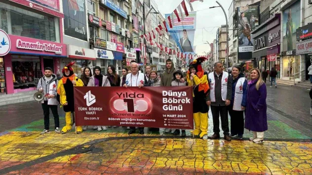 Dünyada 2 milyondan fazla kişi diyaliz tedavisi görüyor