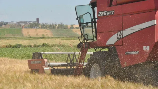 Edirne'de arpa hasadı başladı