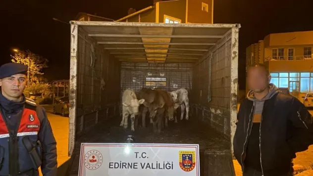 Enez'de ağıldan 6 adet hayvan çalan şüpheliler yakalandı