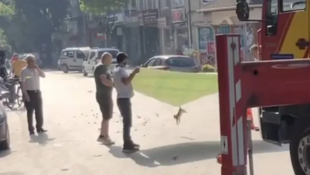 Esnaf ve itfaiyeden kedi operasyonu