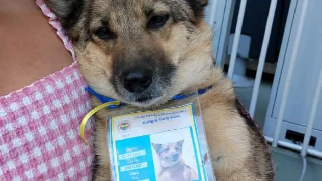 Fenerbahçe başkanlık seçiminde oy kullanma sona erdi