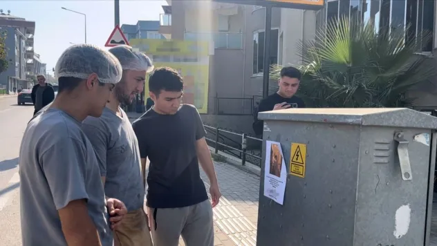 Fotoğrafı gören uzun uzun baktı: 'Kızlarınızı bu adamdan uzak tutun' yazılı afişler ortalığı karıştırdı