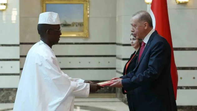 Gine Büyükelçisi Cumhurbaşkanı Erdoğan'a güven mektubu sundu
