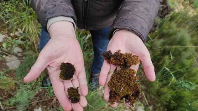 İklim değişikliği ve uzay çalışmaları için önemli proje