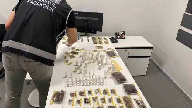 İstanbul Havalimanı'nda kaçakçılık operasyonu: ABD'li müze müdürü tarantula ve akrep kaçakçılığı yaparken yakalandı
