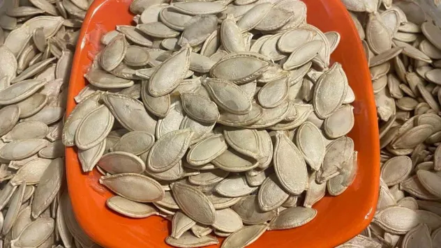 Kabak çekirdeğine 'Salmonella', zencefile 'Bacillus cereus' nasıl bulaşıyor