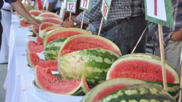 Kadıköylüler Karpuz Festivalini Değerlendirdi