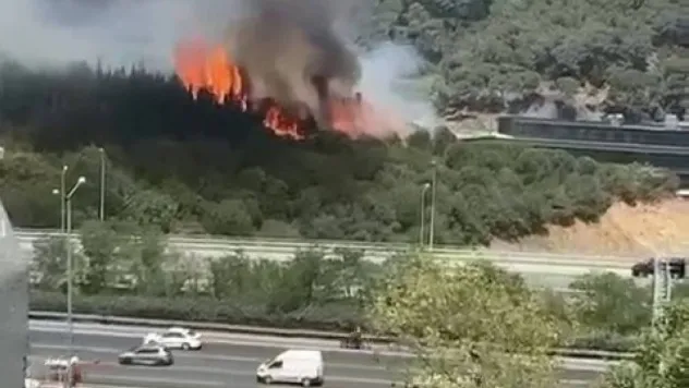 Kağıthane Hamidiye Mahallesi'nde ormanlık alanda yangın çıktı. Olay yerine çok sayıda itfaiye ekibi sevk edildi.