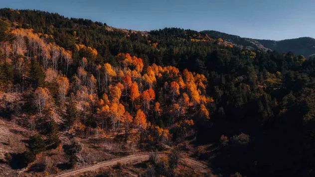 Karagöl Tabiat Parkı'nda sonbahar, renkli görüntüler oluşturdu