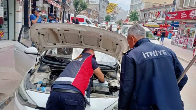 Keşan'da itfaiyenin kurtardığı kedi, hayvansever tarafından sahiplenildi