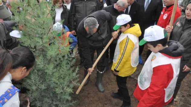 Keşan'da yangından zarar gören ormanlık alana 2 bin çam fidanı dikildi