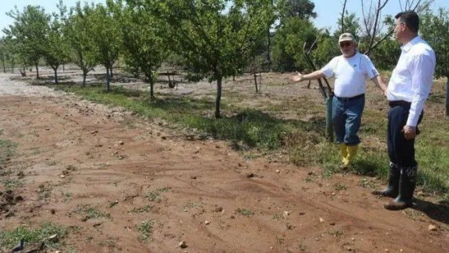 Kırklareli'nde dün etkili olan dolu tarım arazilerine zarar verdi