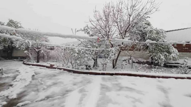 Kış geri geldi: Edirne'de kar yağışı
