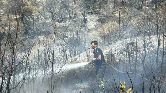 Kocaeli itfaiyesinden Bursa'ya destek