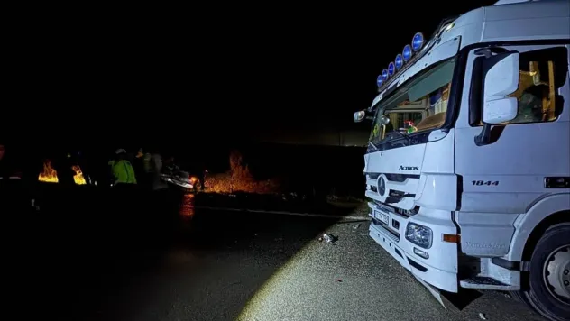 Köpekler nedeniyle otoyolda can pazarı