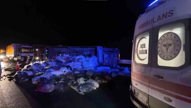 Kuzey Marmara Otoyolu'nda  kamyonet devrildi: 2 yaralı