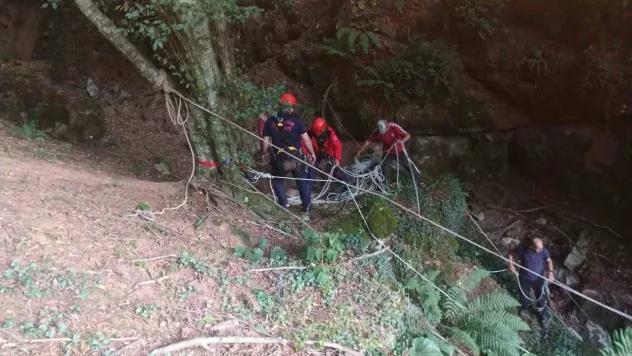 Mağaraya düşen danayı itfaiye kurtardı