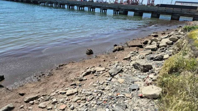 Marmara Denizi'nin Tekirdağ kıyılarında kızıl yosun birikintisi oluştu